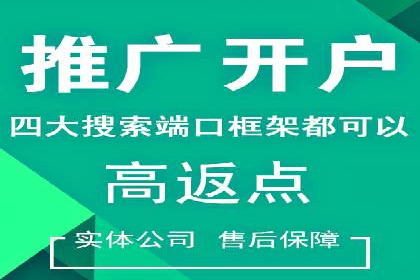 SEM优化实战：案例分析与优化建议